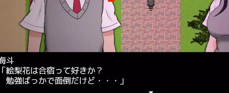 《艾瑞卡的逃亡 （ERIKA’s Runaway）》【日式RPG游戏/2.4G】