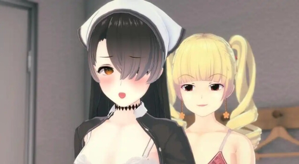 特殊后宫班（Special Harem Class）