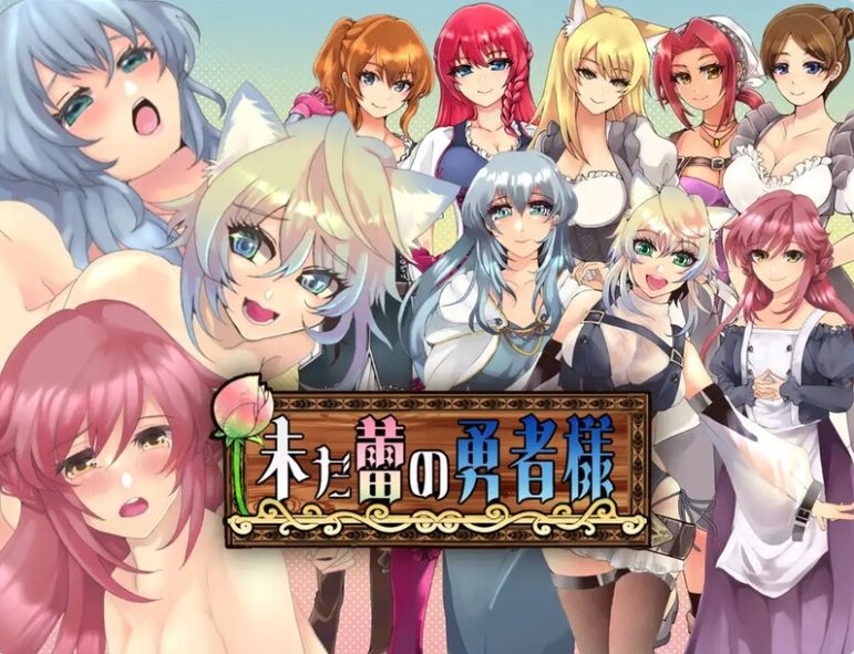 《未开花的勇者大人》【PC+安卓+汉化版+RPG游戏+2.39G】