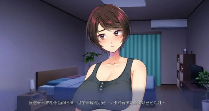 《一墙之隔妻子的声音》【PC/官中/日系/2D/ADV/3.35G】